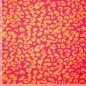 Preview: Canvas - Chiko Leo - pink/orange