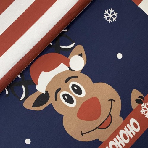 French Terry Panel - Rudolph - navy/red