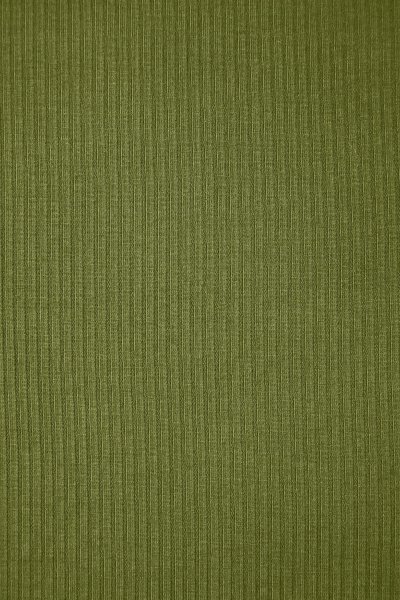 Derby Ribbed Jersey mit TENCEL™ - tea green - MeetMilk